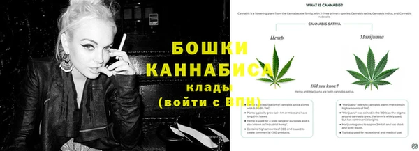 каннабис Богданович