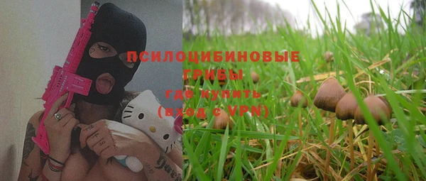 каннабис Богданович